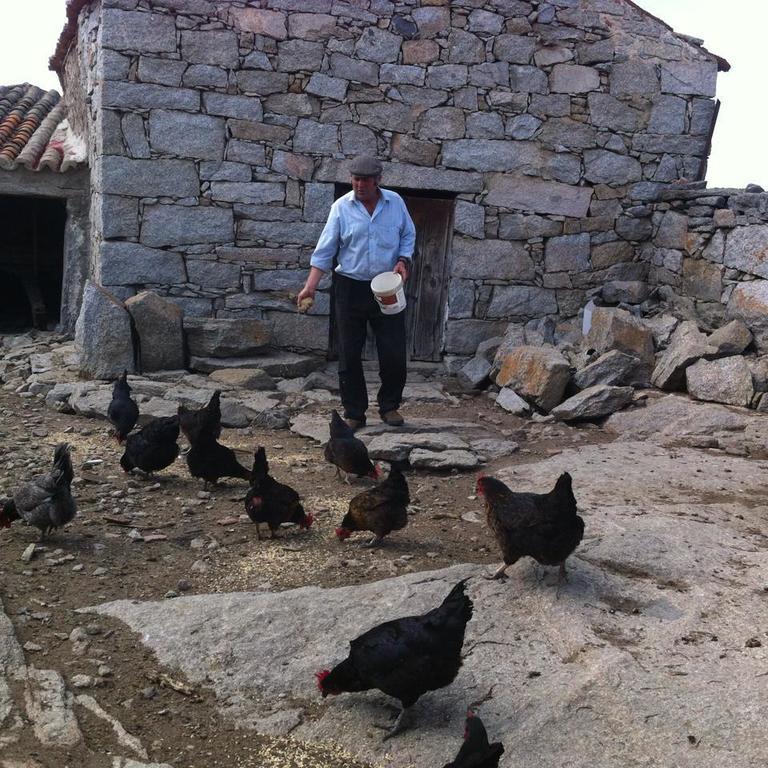 Gallegos De San Vicente Casa Rural El Linaje De Los Cinco Sombreros المظهر الخارجي الصورة